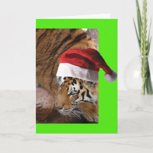 Bengal Tiger Santa Claus Card