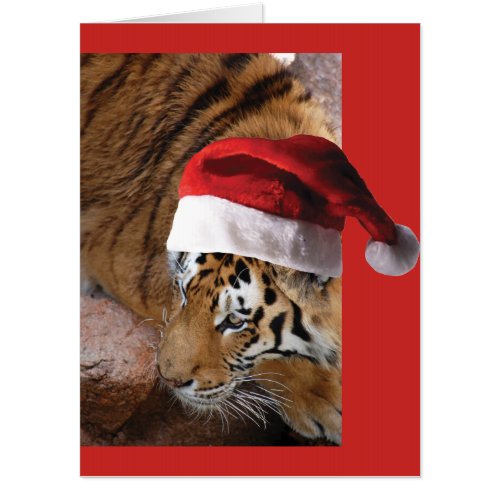 Bengal Tiger Santa Claus Card