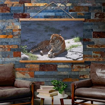 Bengal Tiger Sunbathing Hanging Tapestry by machomedesigns at Zazzle