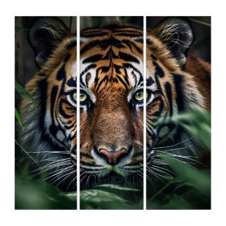 Bengal Tiger Triptych