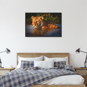 Bengal Tiger watching you from the water Wrapped Canvas Print