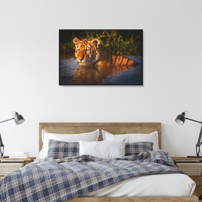 Bengal Tiger watching you from the water Wrapped Canvas Print (Insitu(Bedroom))