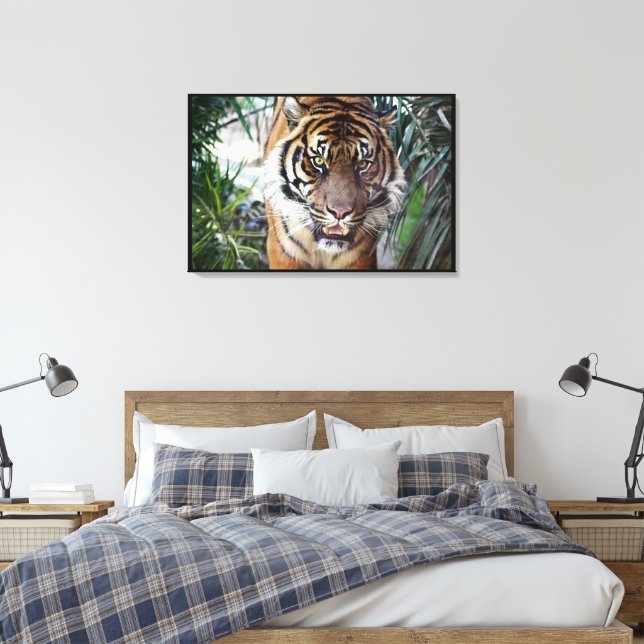Bengal Tiger watching you Wrapped 2 Canvas Print (Insitu(Bedroom))