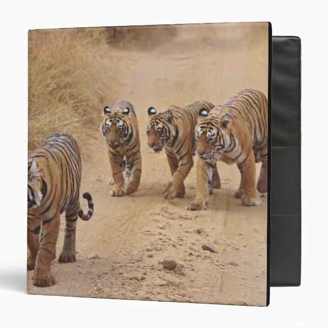 Bengal Tigers 3 Ring Binder (Front/Inside)