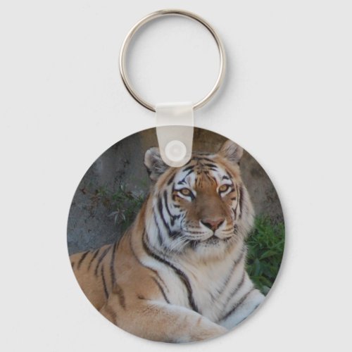 Bengal Tigers Keychain