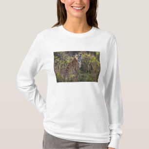 Bengal tigress in tall grass, trying to hunt, T-Shirt