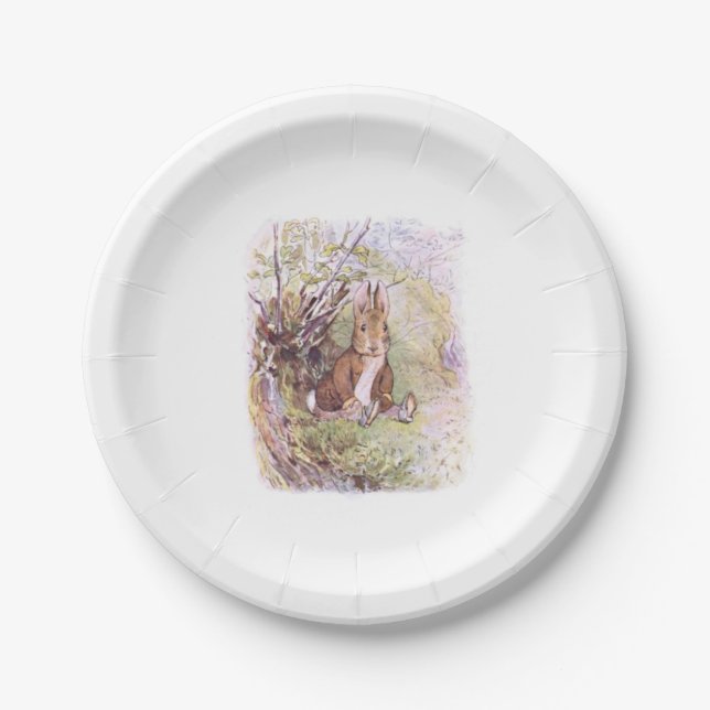 Benjamin Bunny (by Beatrix Potter) Paper Plates (Front)