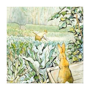 Helen Beatrix Potter Poster The Tale of Peter Rabbit Art Drawing Canvas  Printing (11) Canvas Painting Wall Art Poster for Bedroom Living Room Decor