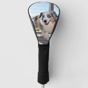 Bennett - Aussie Mini - Rosie - Carmel Beach Golf Head Cover