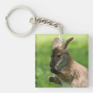 Bennett's Wallaby Keychain