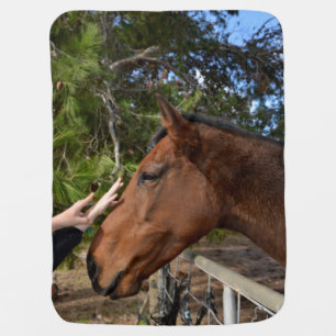 Bennie The Big Brown Horse, Receiving Blanket