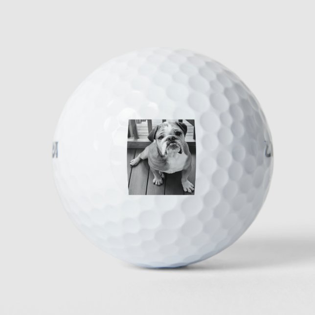 Benny the bulldog golf balls (Front)