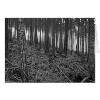 Benson Meadows Cards