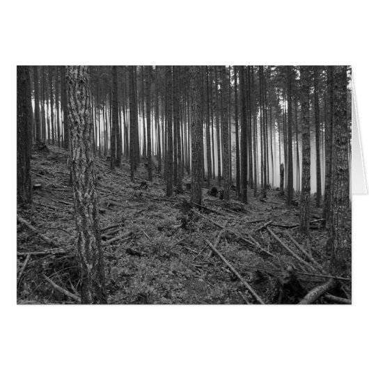 Benson Meadows Cards (Front Horizontal)