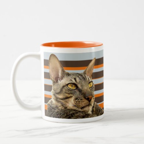 Benson Retro Stripe Rex Cat Mug