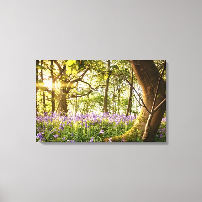 Bent tree in bluebell forest canvas print (Front)