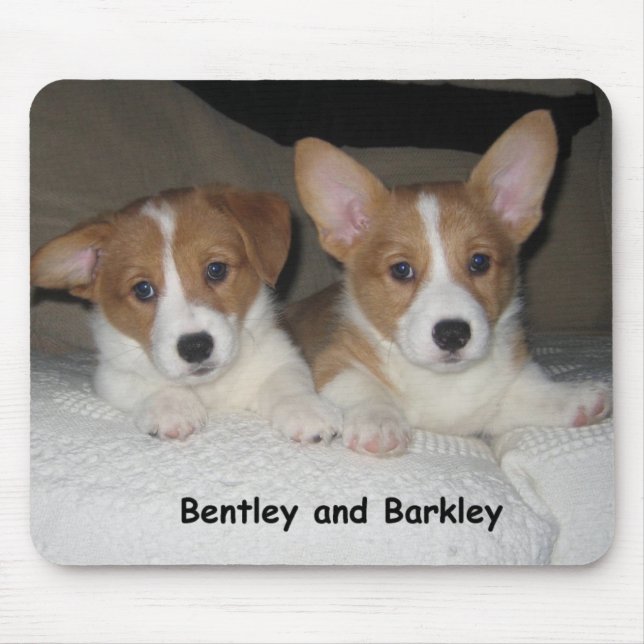 Bentley & Barkley Mouse Pad (Front)
