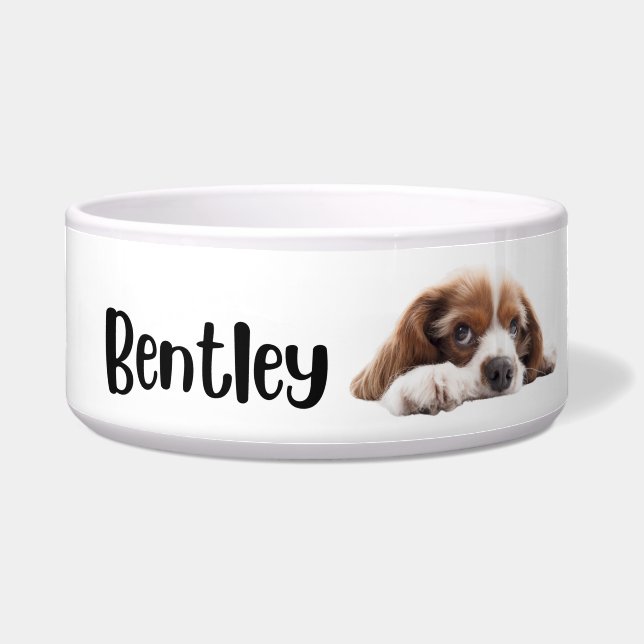 Bentley - dogs and cats personalised bowl (Front)
