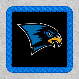 Bentley Falcons Patch