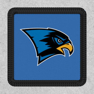 Bentley Falcons Patch