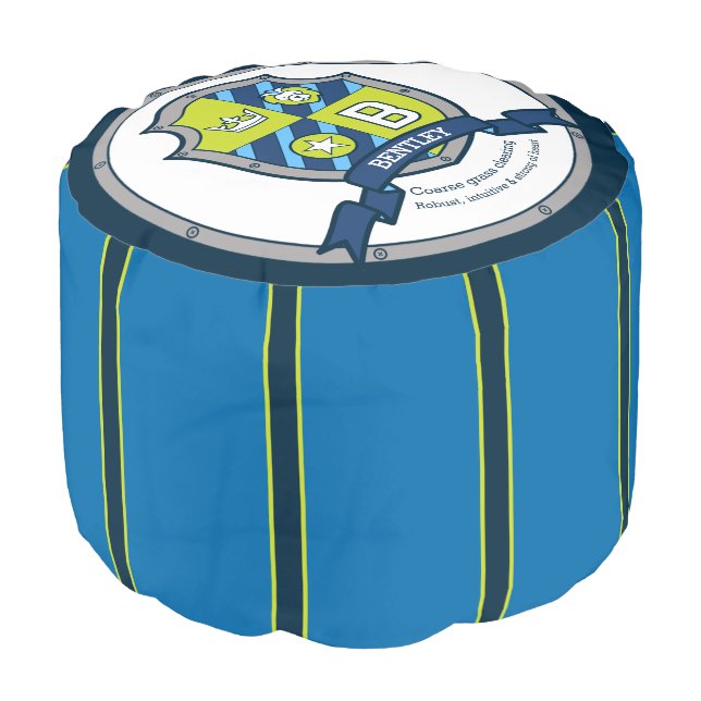 Bentley letter B blue crest boys name meaning pouf (Angled Front)