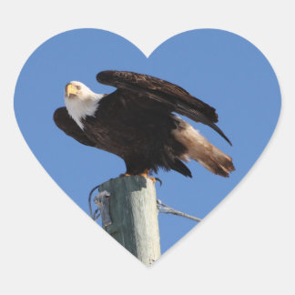 BEOUP Bald Eagle on Utility Pole Heart Sticker