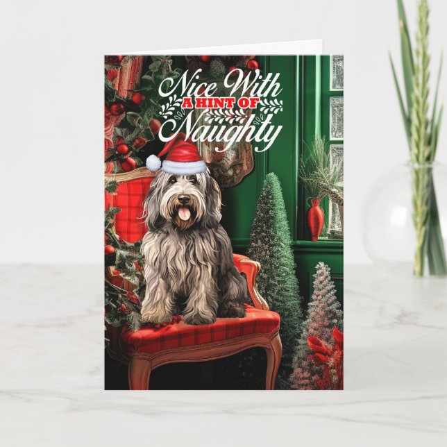 Bergamasco Shepherd Christmas Dog Naughty or Nice Holiday Card (Front)