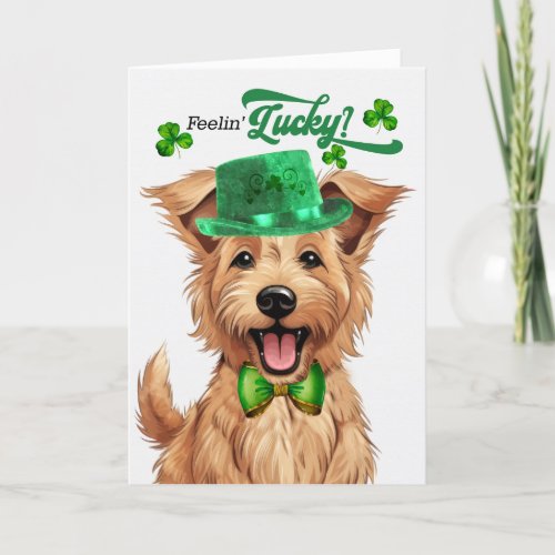Berger Picard Dog Lucky St Patricks Day Holiday Card