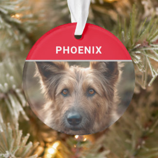 Berger Picard Dog's Name and Photo Christmas Ornament