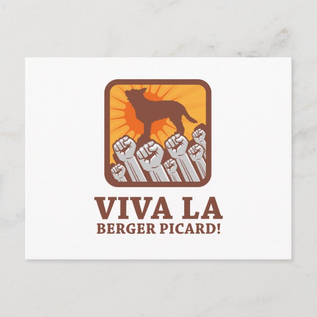 Berger Picard Postcard (Front)