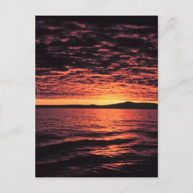 Bering Sea Sunset Postcard (Front)