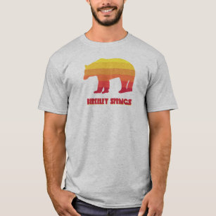 Berkeley Springs West Virginia Rainbow Bear T-Shirt