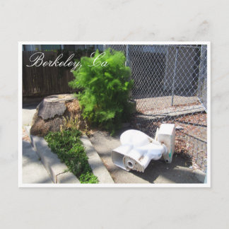 Berkeley streets postcard