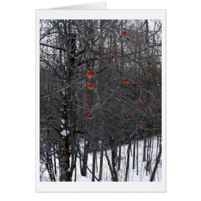 Berkshire Winter Apples Greeting Cards