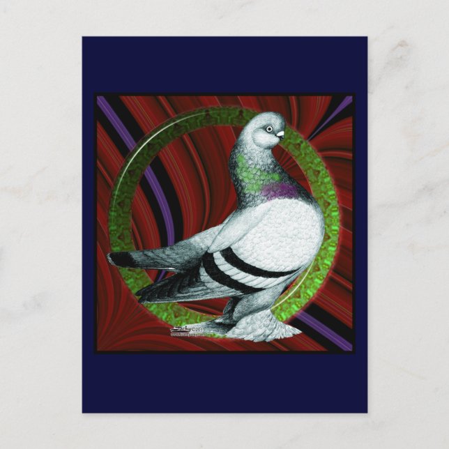 Berliner Pigeon Circle Postcard (Front)