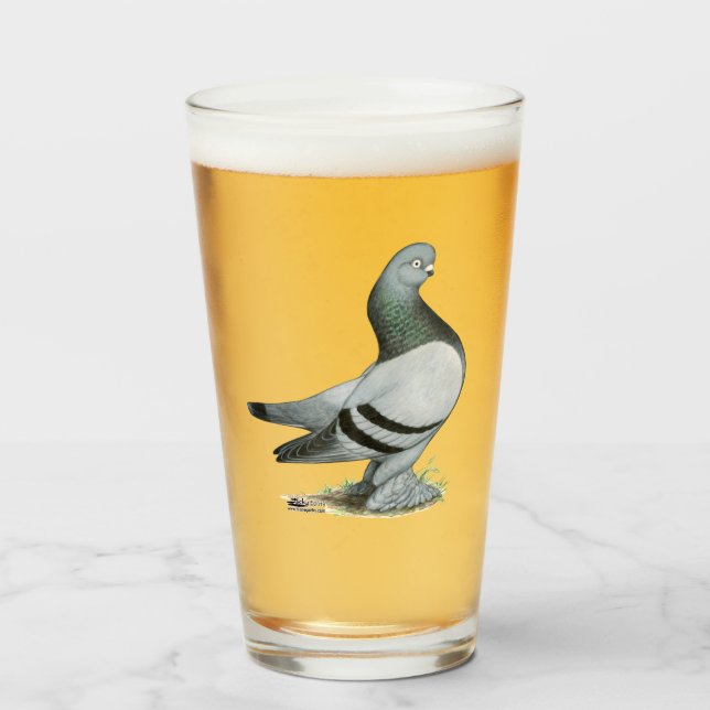 Berliner Tumbler Pigeon Blue Bar (Front Filled)