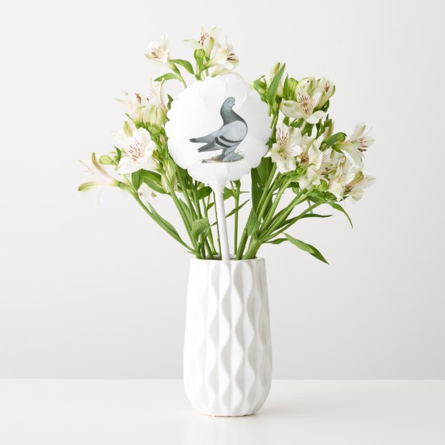 Berliner Tumbler Pigeon Blue Bar Balloon (Vase)