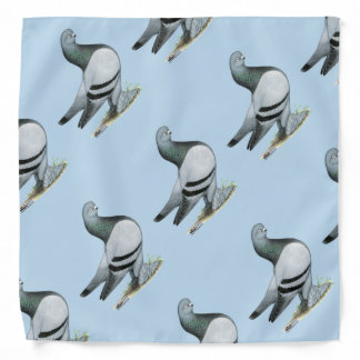 Berliner Tumbler Pigeon Blue Bar Bandana