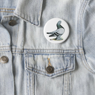 Berliner Tumbler Pigeon Blue Bar Button
