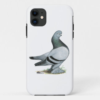 Berliner Tumbler Pigeon Blue Bar iPhone 11 Case