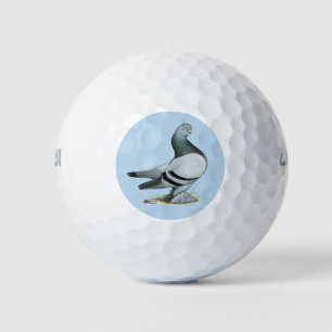 Berliner Tumbler Pigeon Blue Bar Golf Balls
