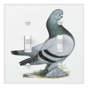 Berliner Tumbler Pigeon Blue Bar Light Switch Cover