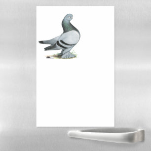 Berliner Tumbler Pigeon Blue Bar Magnetic Dry Erase Sheet