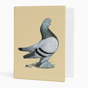Berliner Tumbler Pigeon Blue Bar Mini Binder