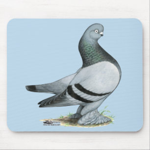 Berliner Tumbler Pigeon Blue Bar Mouse Pad
