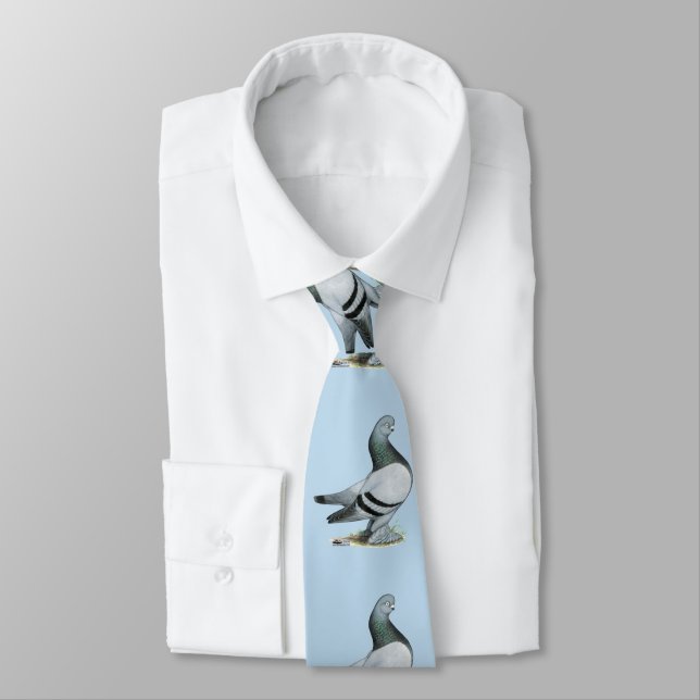 Berliner Tumbler Pigeon Blue Bar Neck Tie (Tied)