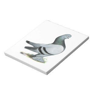Berliner Tumbler Pigeon Blue Bar Notepad
