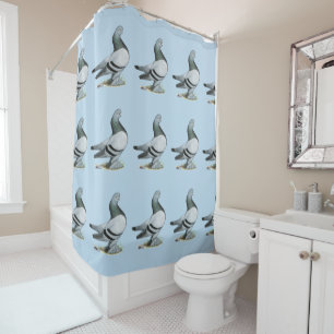 Berliner Tumbler Pigeon Blue Bar Shower Curtain
