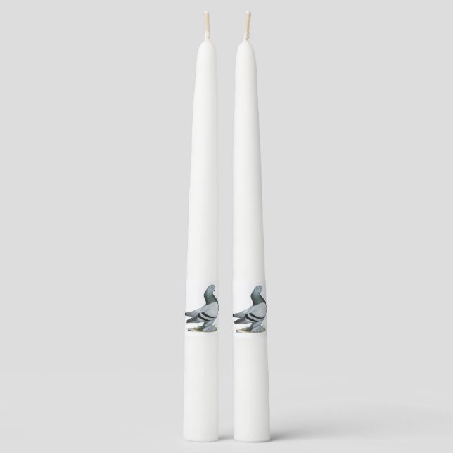 Berliner Tumbler Pigeon Blue Bar Taper Candle (Front)