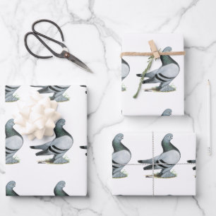 Berliner Tumbler Pigeon Blue Bar Wrapping Paper Sheets